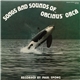 Orcinus Orca - Songs And Sounds Of Orcinus Orca